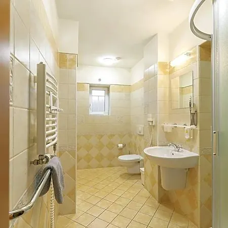 Hotel U Simla 3*