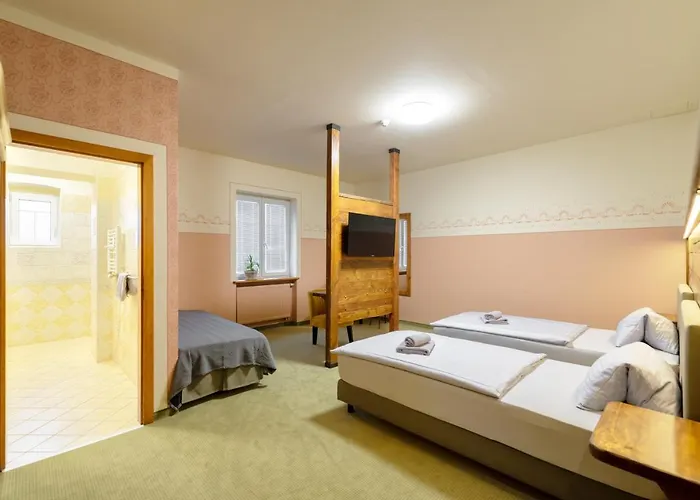 Hotel U Simla 3*