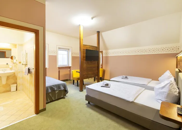 Hotel U Simla 3*